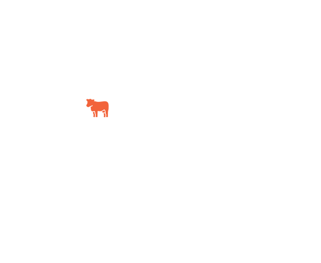 cow illustration
