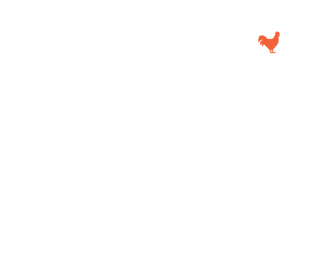 rooster illustration