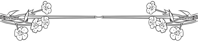 illustration of swords and flowers we created for Guilder