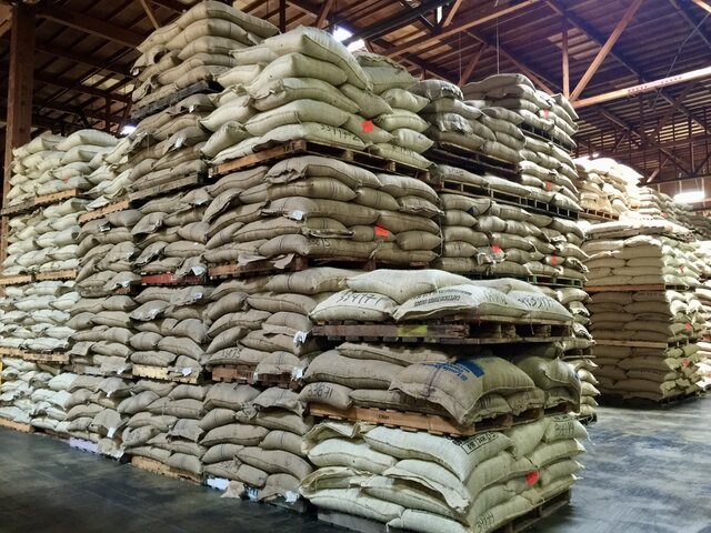 The interior of a coffee warehouse, showing many green coffee bags