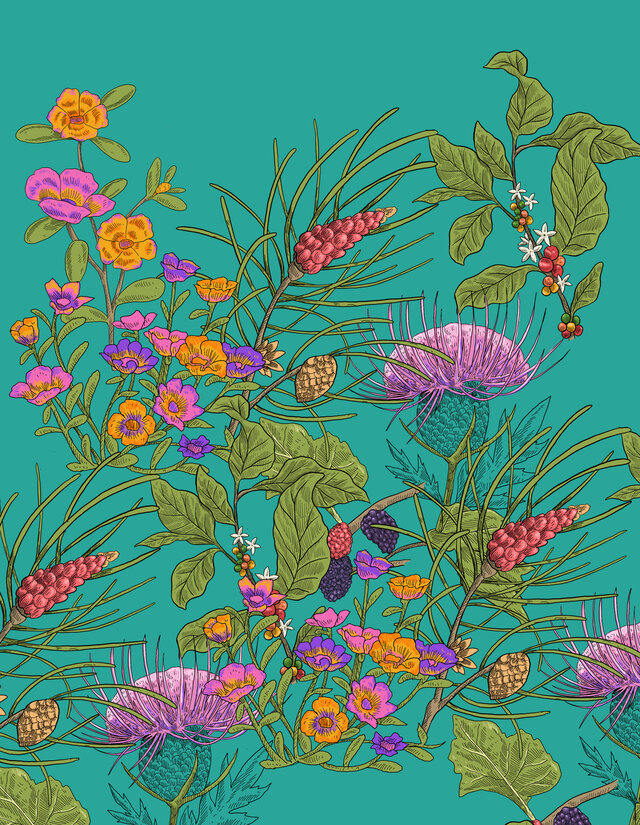 materia prima illustration