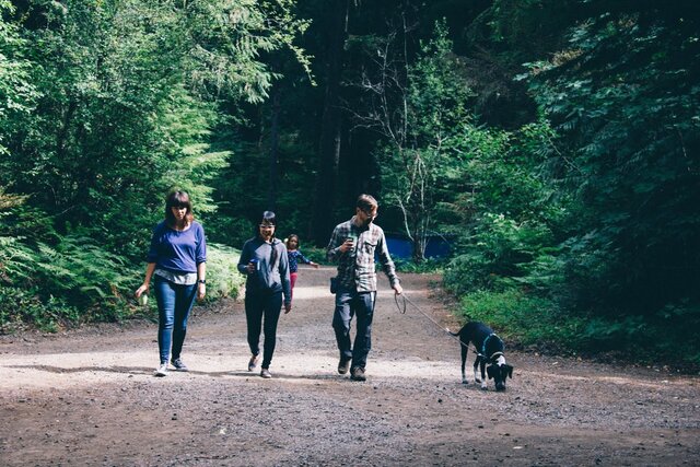needmore-camping-walk