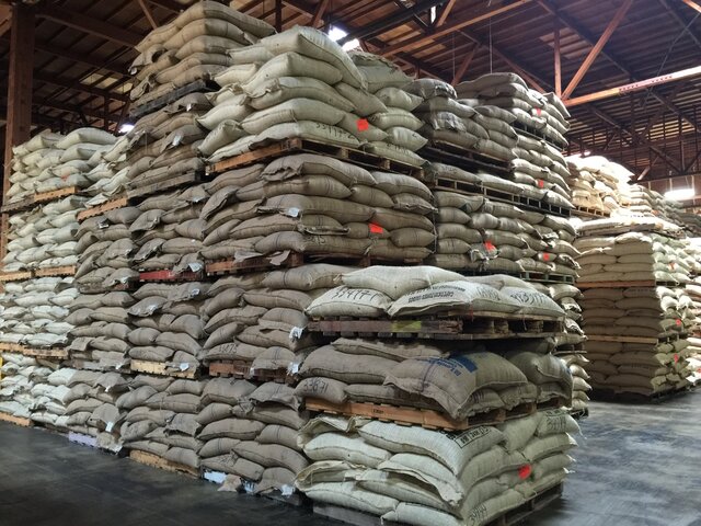 Green coffee at Royal Coffee Importers