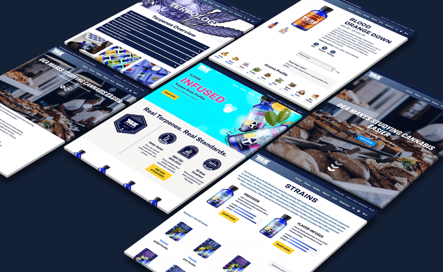 The new website pages are unique and engaging.