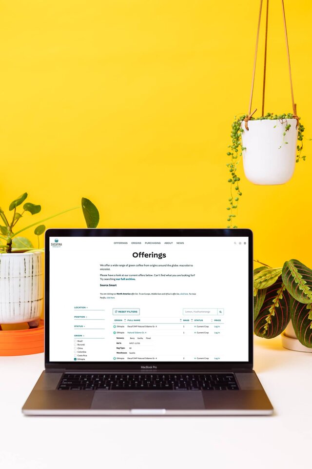 Sucafina Offerings page on laptop with yellow background and hanging plant
