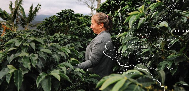 Image of a producer with map over