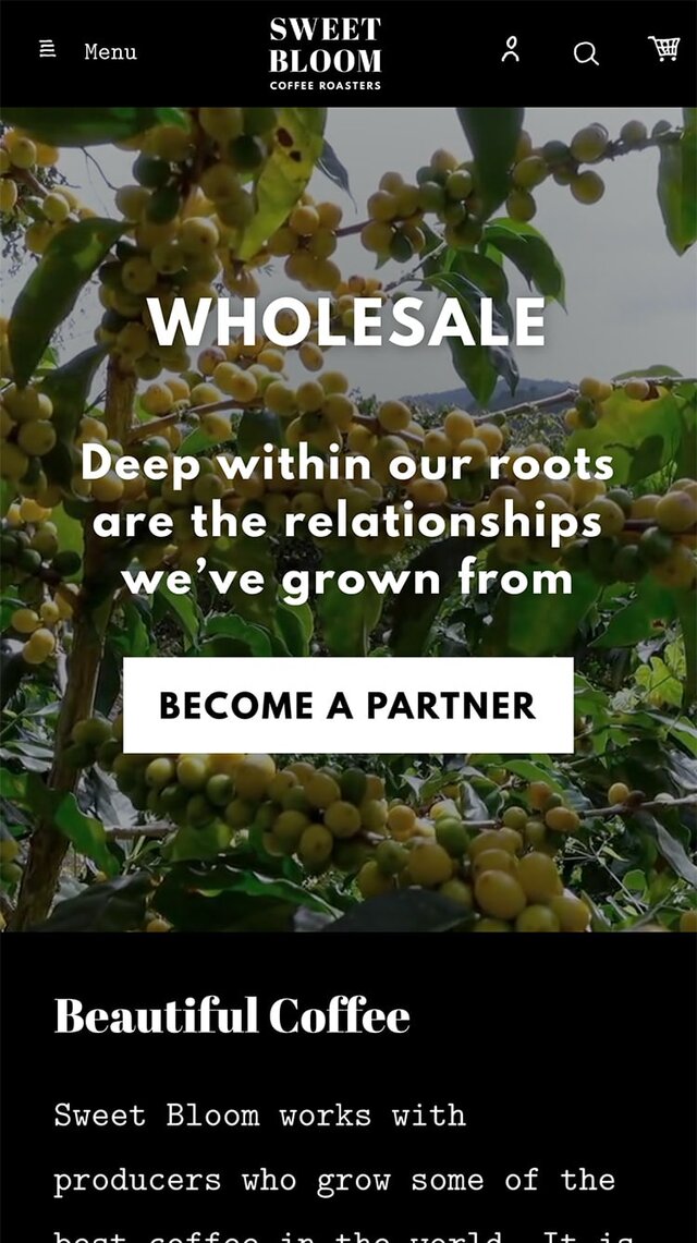 Wholesale for Sweet Bloom on iPhone