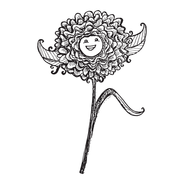flower-illustration
